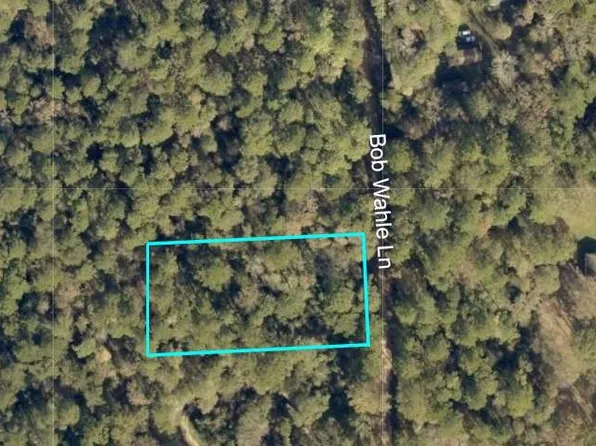 0 Bob Wahle Lane, Coldspring, TX 77331