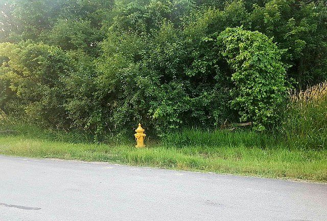 2nd image of 17W226 Red Oak Ave