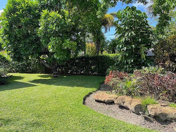 Left side / back yard 