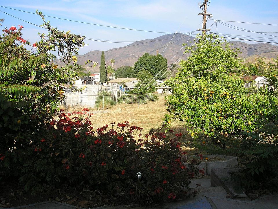 backyard view