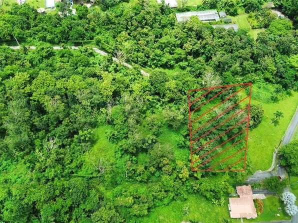 Calle Balbino Rosa Solar #C, Luquillo, PR 00773