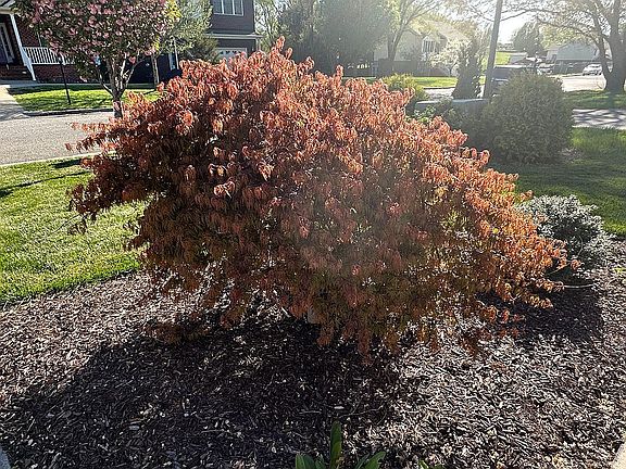4th image of 1028 Stokes Dr