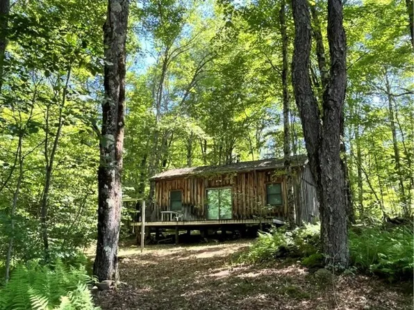 2865 Steam Mill Rd #9, Masonville, NY 13804