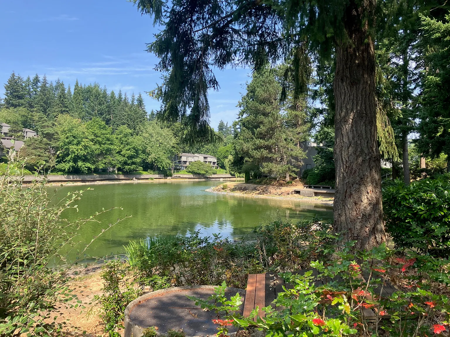 1 bed, 600 sqft, $1,500 — Photo 3