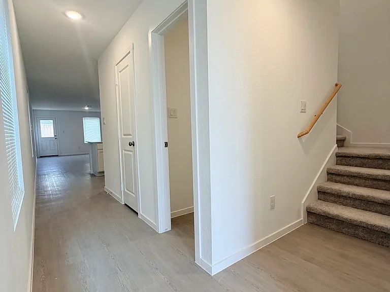 8553 Green Bliss — Photo 3