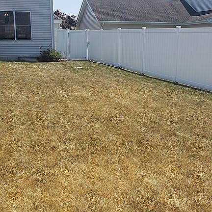 Big backyard
