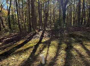LOT 15 Fairview Springs Dr, Ellenwood, GA