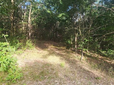 0 W Phelps Rd, Manton, MI, 49663