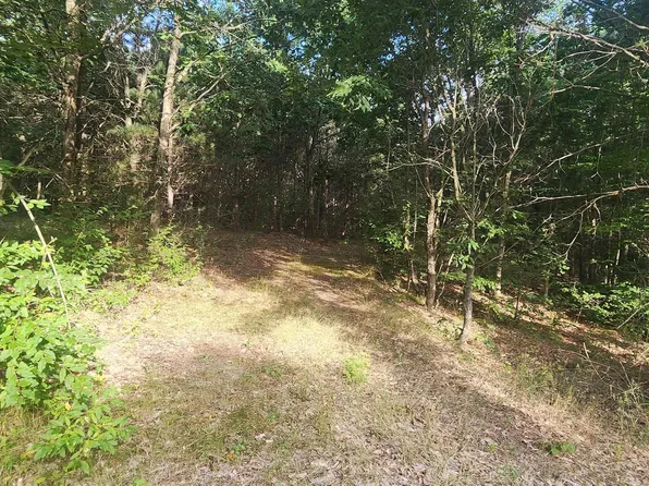 0 W Phelps Rd, Manton, MI 49663