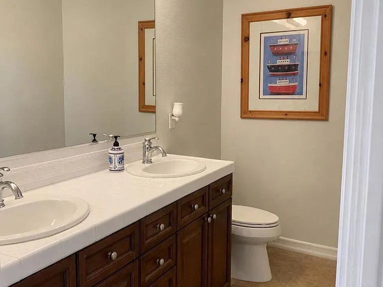 7332 Circulo Papayo — Photo 40