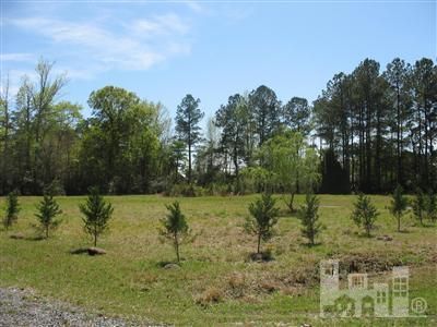 6216 Carolyn Hill Road, Castle Hayne, NC, 28429