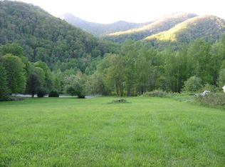 12005 State Highway 197 S, Burnsville, NC 28714