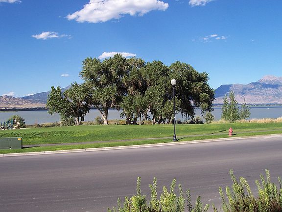 View of lake from home