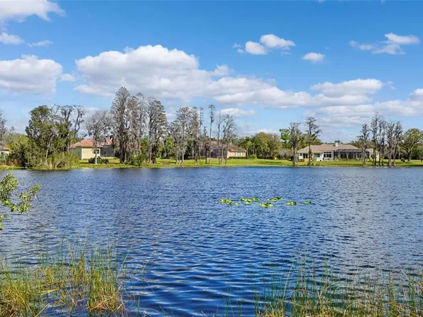 18709 Wayne Rd, Odessa, FL 33556