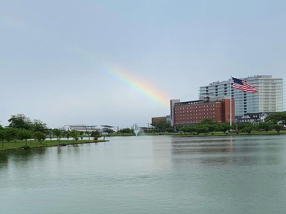 View from the living room window.