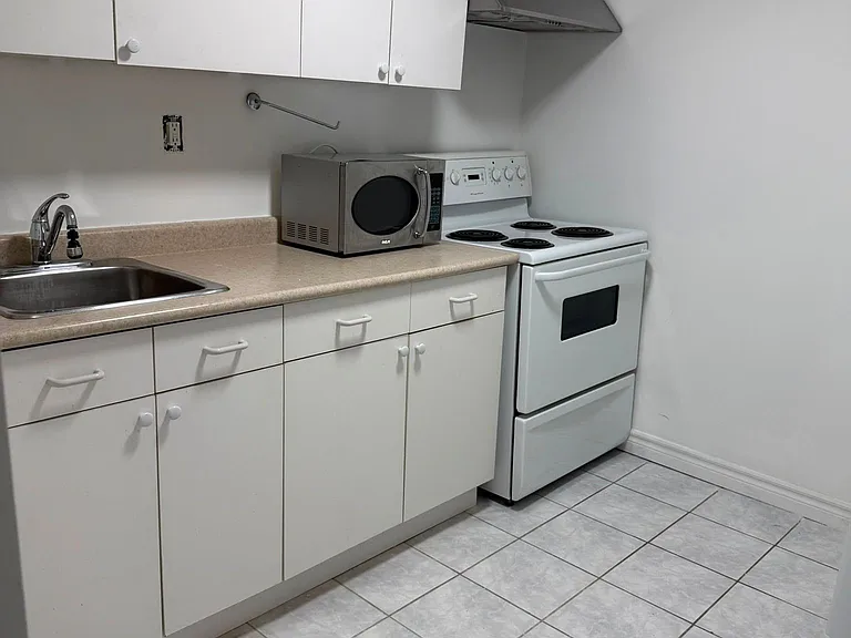 259 Tall Grass Trl #BASEMENT — Photo 18