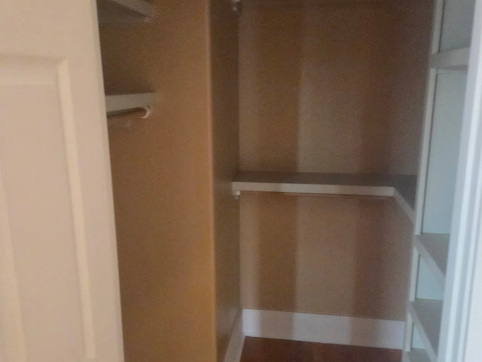 1 bed, 850 sqft, $899 — Photo 4