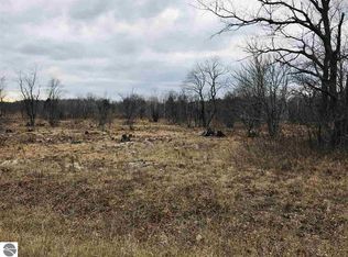 0 Thornton Dr, Elmira, MI 49730