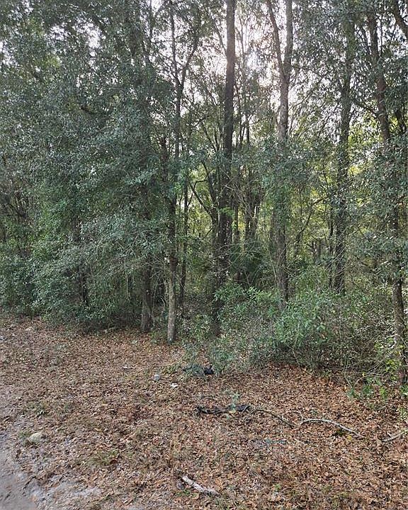 1st image of NE 163rd Pl Lot 3