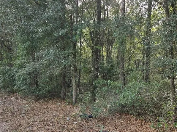 NE 163rd Pl Lot 3, Citra, FL 32113