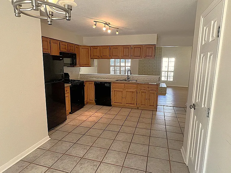 3307 Golden Willow Dr — Photo 9