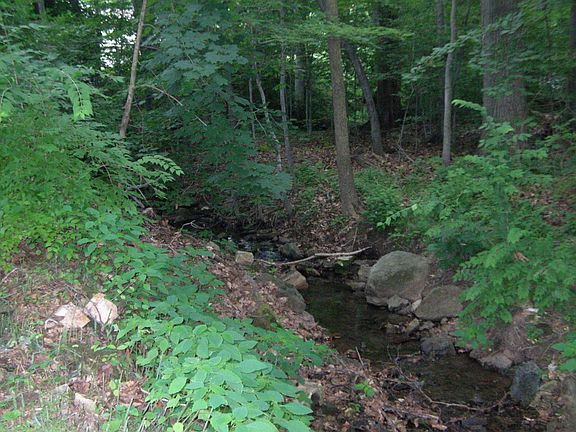 Creek on Property