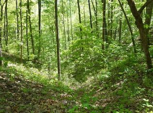 Bear Cove Cir, Bryson city, NC 28713