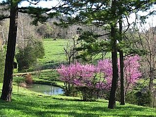 2nd image of 12336 County Road 302