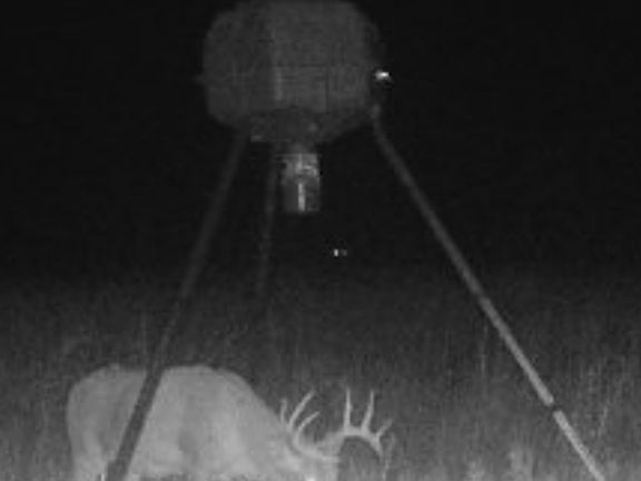 4th image of County Road 22 Lot Wp001