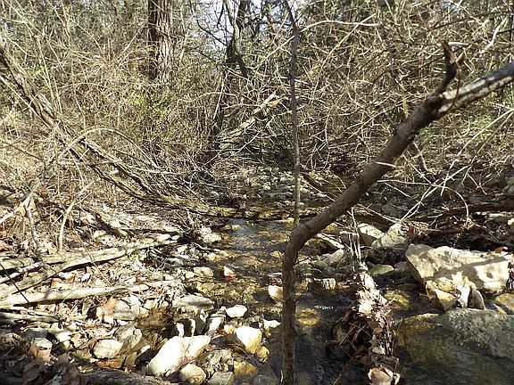 5th image of 180 Nevada Rd