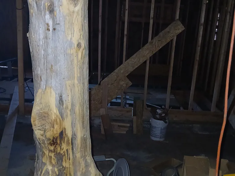 307 S Viola St — Photo 26