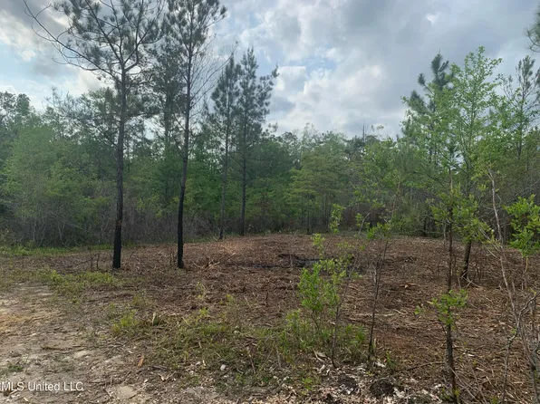 C McLeod Country Rd, Pass Christian, MS 39571