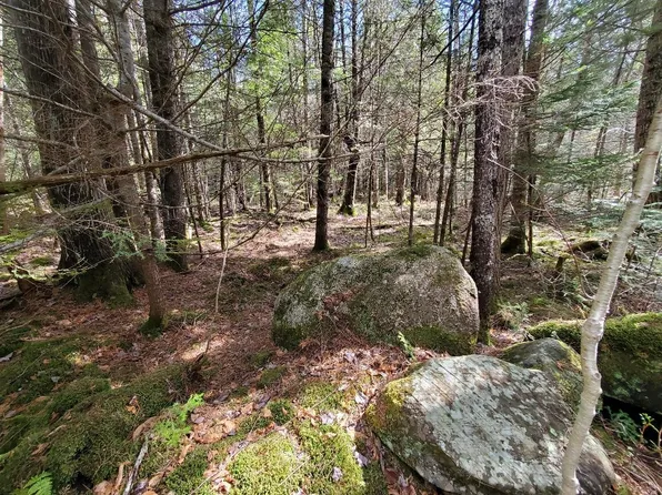 0 Howland (Rte 155) Road, Lagrange, ME 04453
