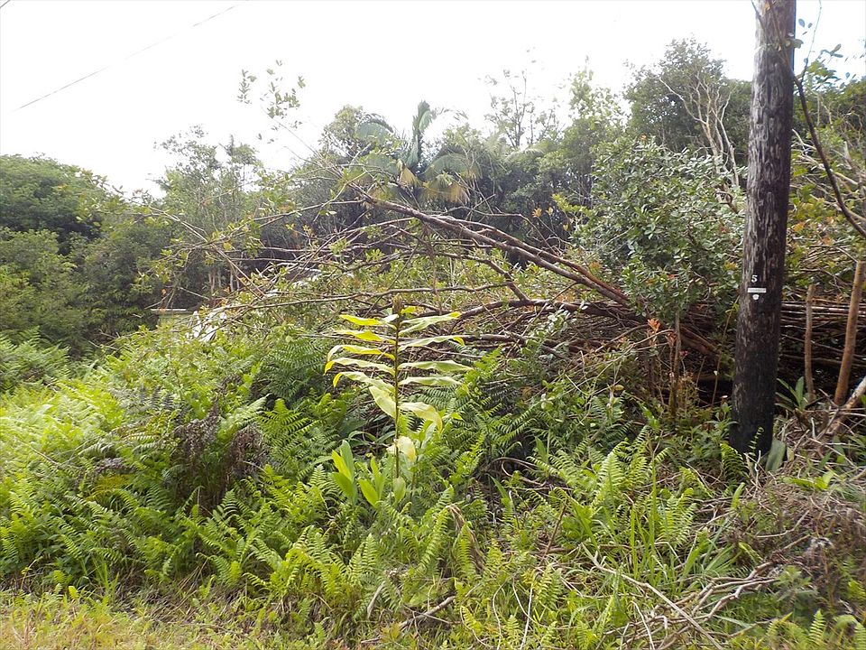2nd image of Kauai St Lot 14