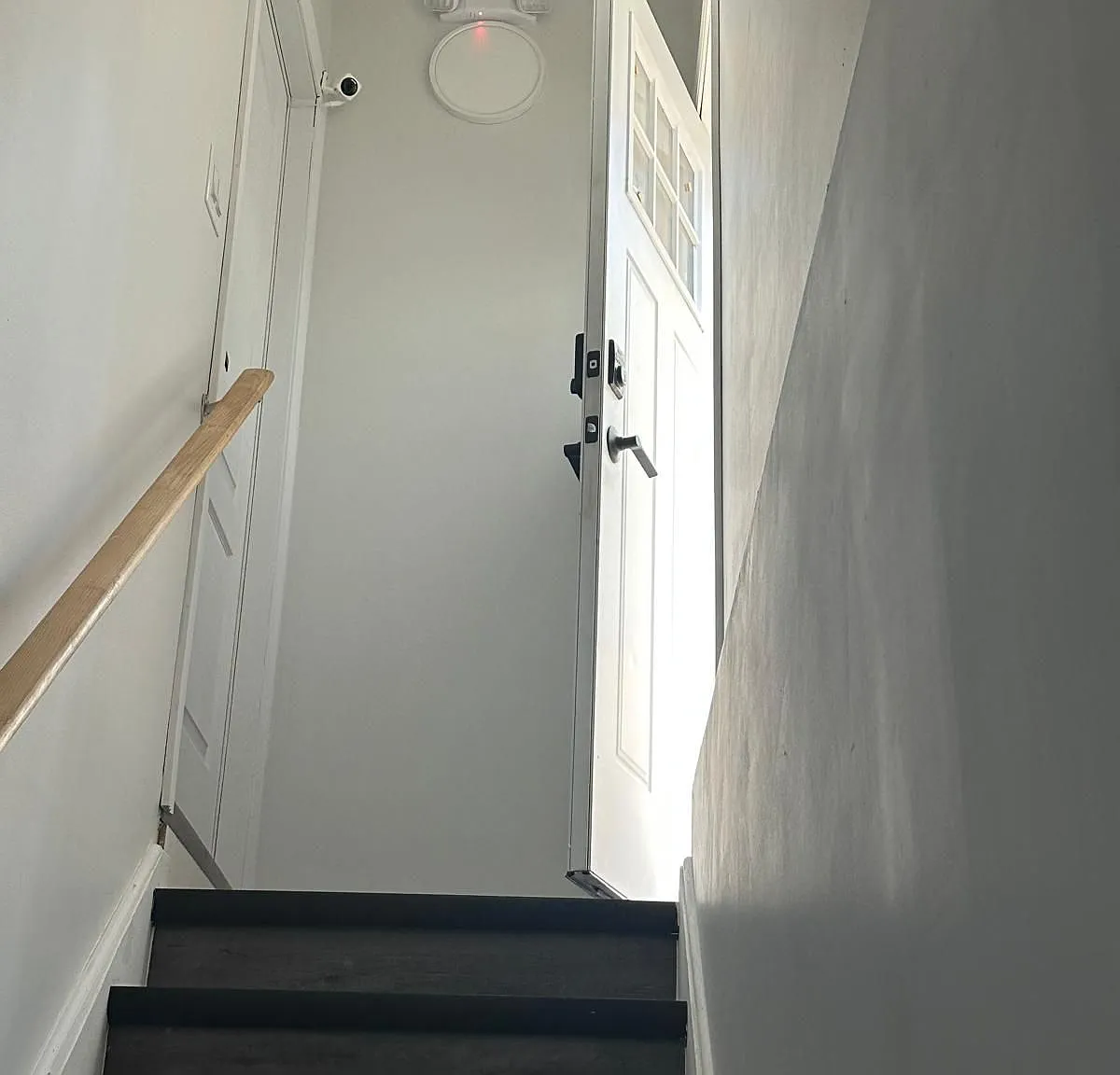 1 bed, $1,390 — Photo 3