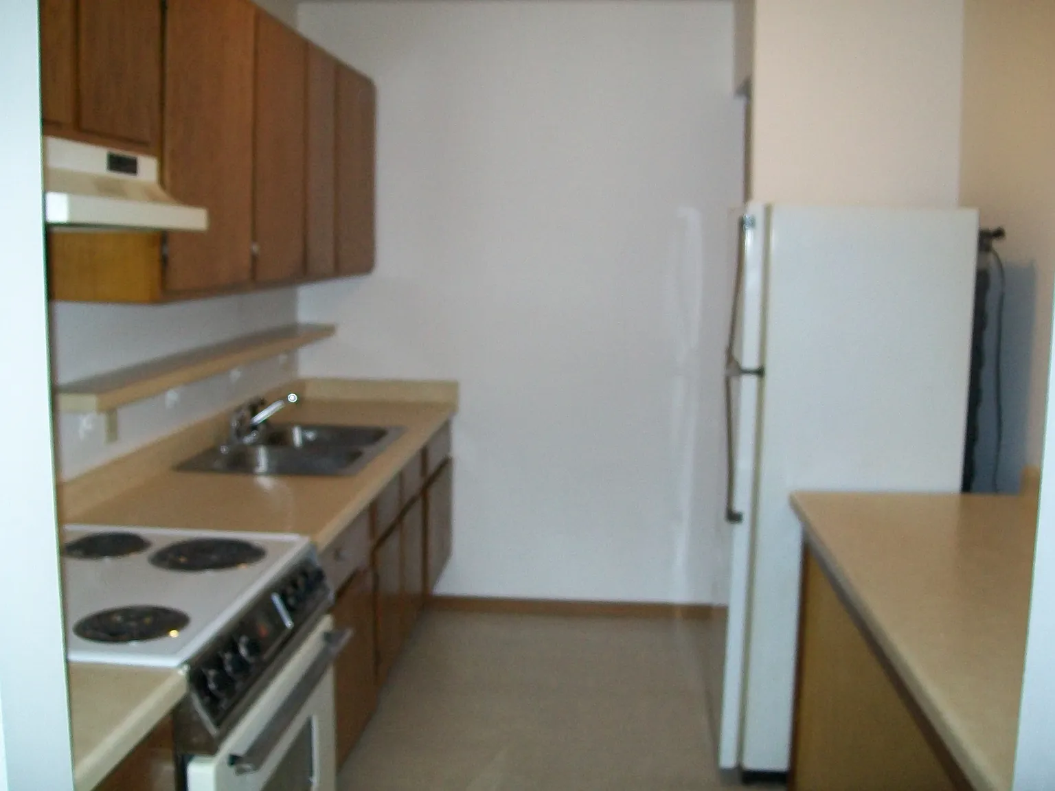 1 bed, 650 sqft, $800 — Photo 3