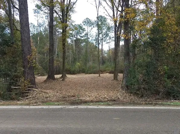 PARCEL 2A Hano Rd, Independence, LA 70443