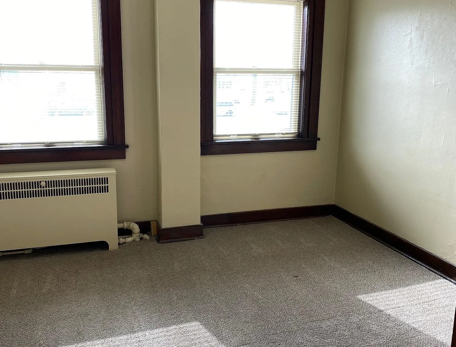 1 bed, $850 — Photo 2