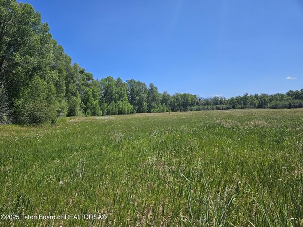 574 Peaked Ln, Tetonia, ID 83452