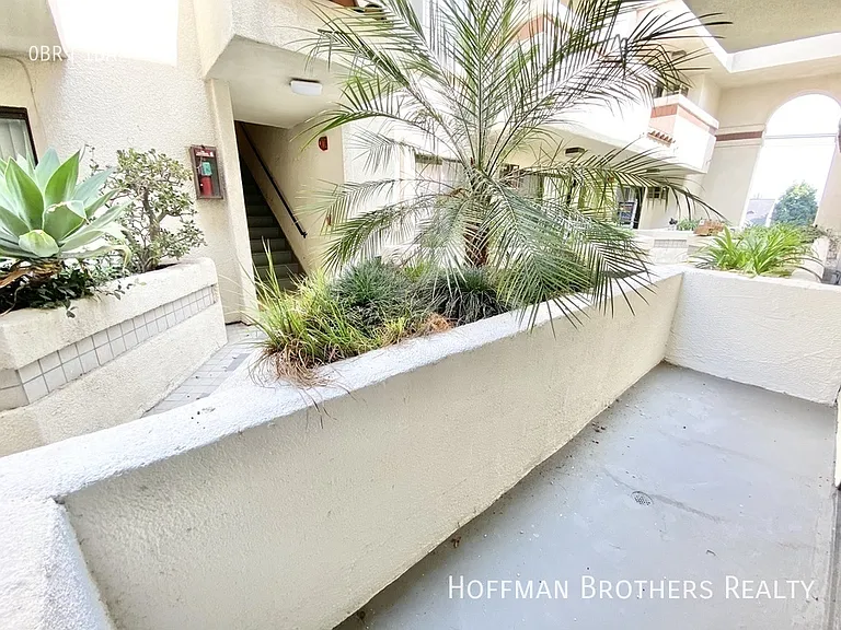 3462 Mentone Ave #206 — Photo 6