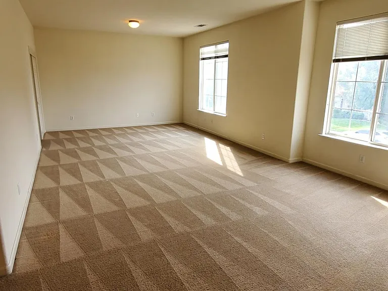 4132 Wheeler Peak Way — Photo 10