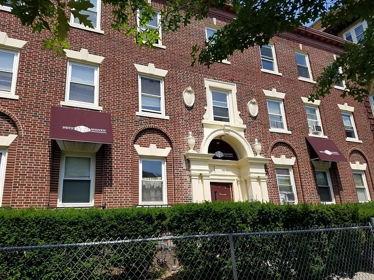 56 Norton St — Photo 10