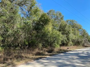 NE 290th Ave, Old Town, FL 32680
