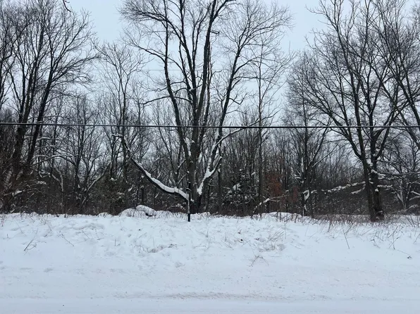 W Pq Vacant Land Ave Parcel D, Kalamazoo, MI 49009