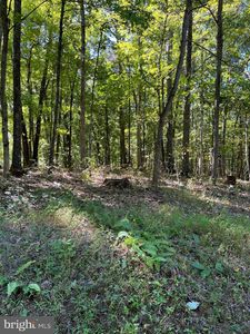 Orleans Rd, Great Cacapon, WV, 25422