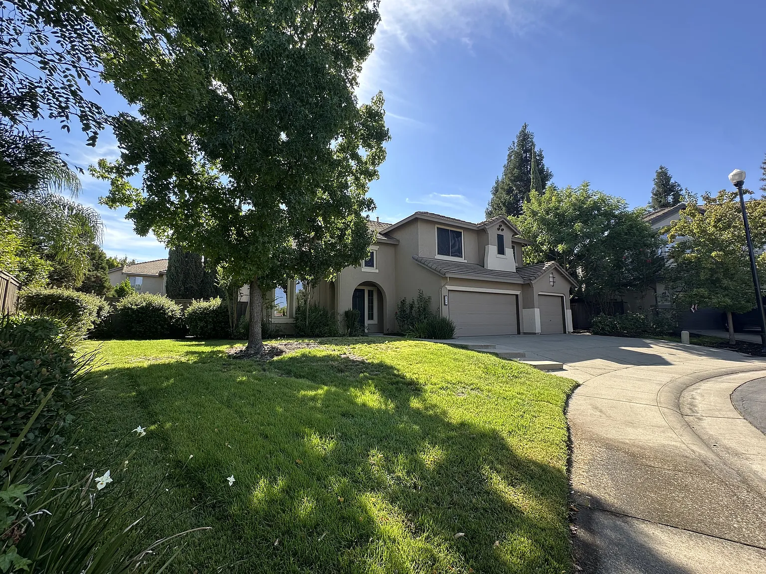 409 Lucera Ct photo 1