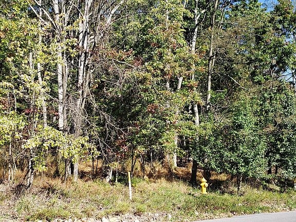 3rd image of Richwood Ave