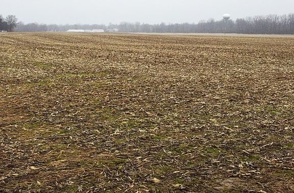 2nd image of 3448 Turnbull Rd