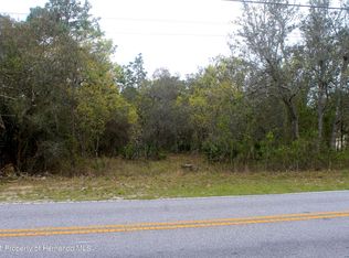 12242 Knuckey Rd, Weeki Wachee, FL 34614