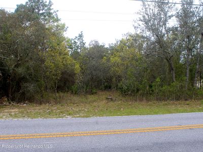 12242 Knuckey Rd, Weeki Wachee, FL, 34614